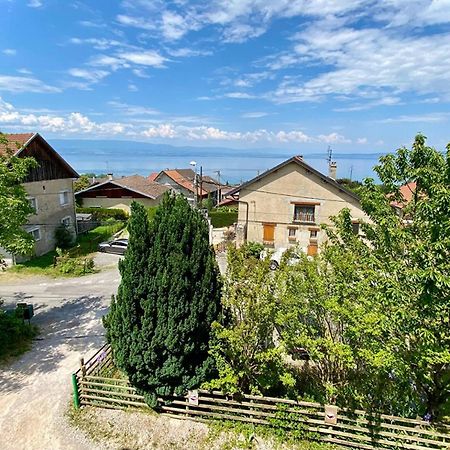 安菲翁·莱斯·班恩斯Maison Familiale Vue Lac Avec Jardin - A 10Mn Du Lac Et Stations De Ski公寓 外观 照片